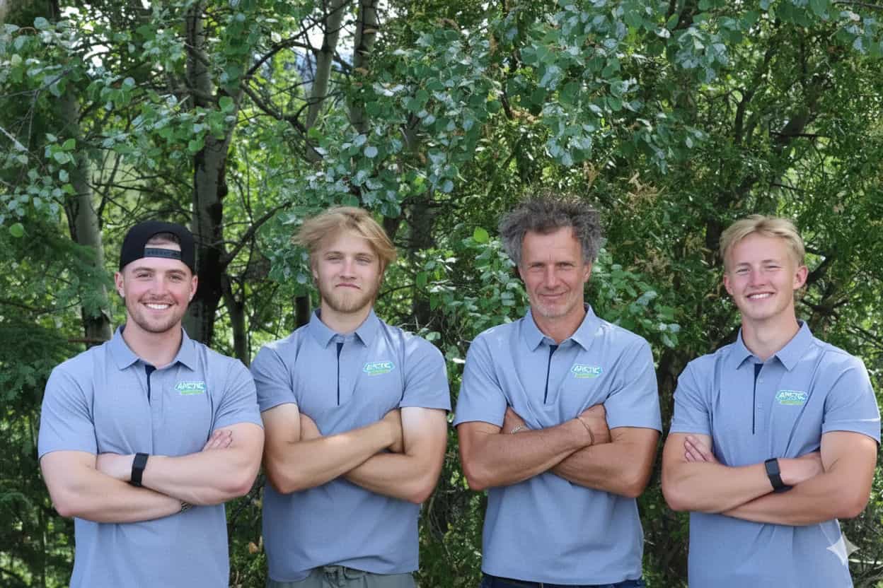 Hero image for Arctic Shine